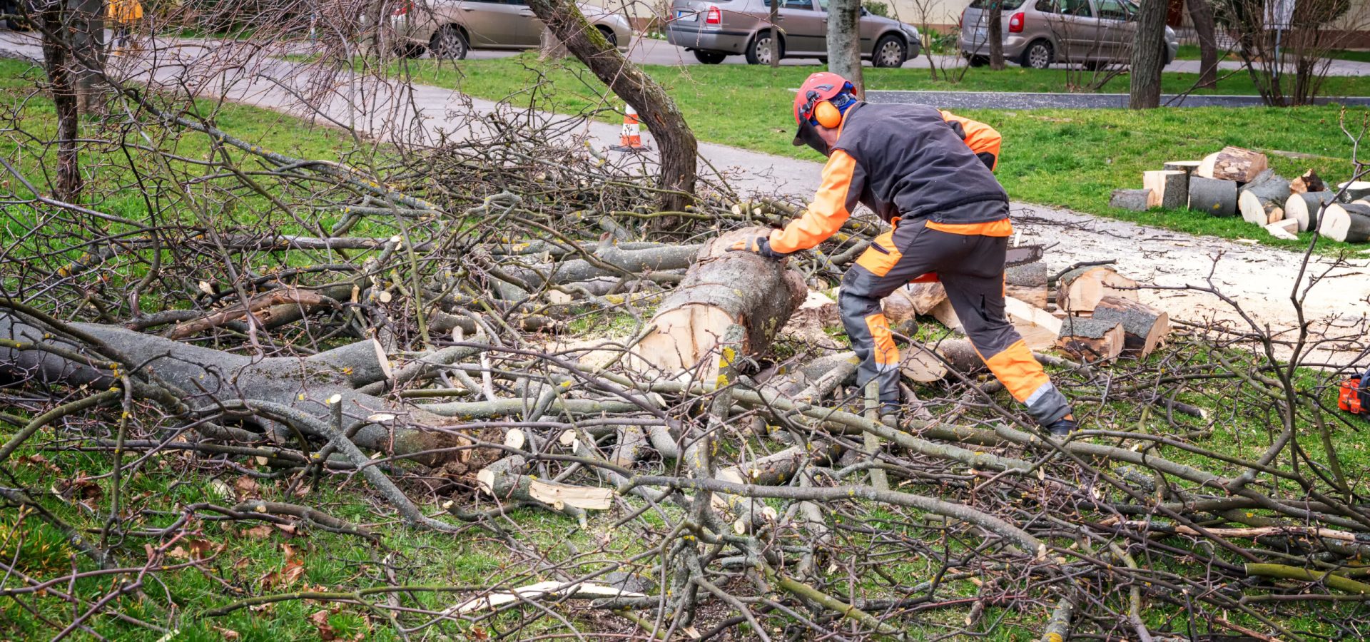Man in overall and safety helmet cuts tree trunk by chainsaw among block of flasts
